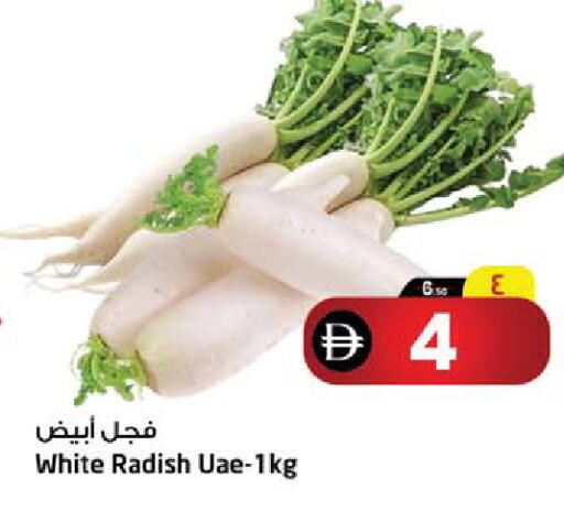 Radish available at سفاري هايبرماركت in الإمارات العربية المتحدة , الامارات - دبي