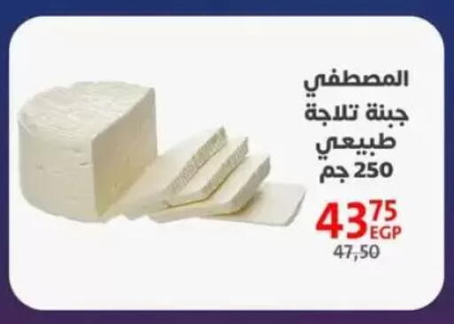 available at Arab DownTown in Egypt - Cairo