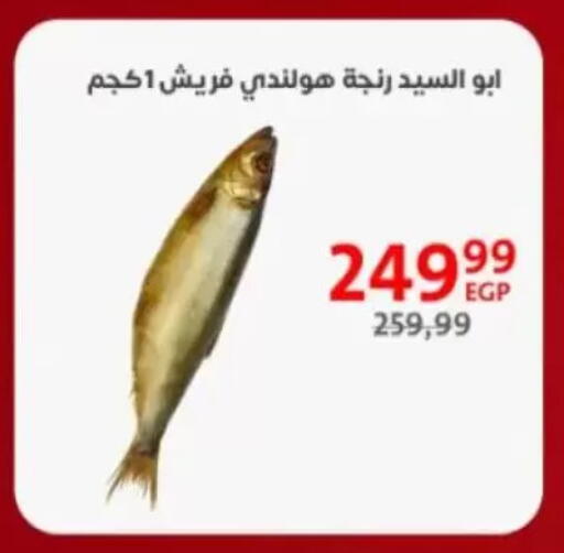 available at Arab DownTown in Egypt - Cairo