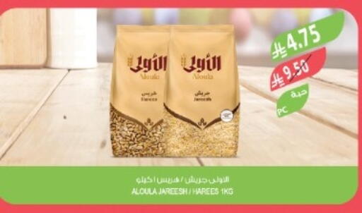 available at المزرعة in مملكة العربية السعودية, السعودية, سعودية - تبوك