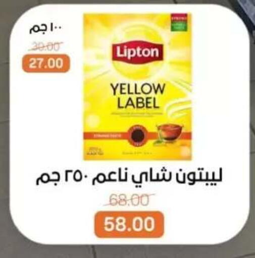 available at بيت الجملة in Egypt - القاهرة