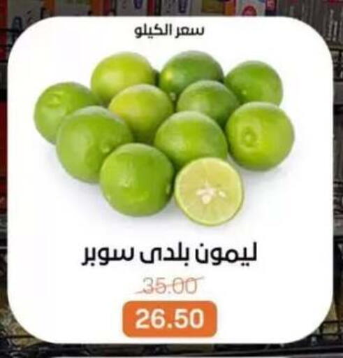 available at بيت الجملة in Egypt - القاهرة