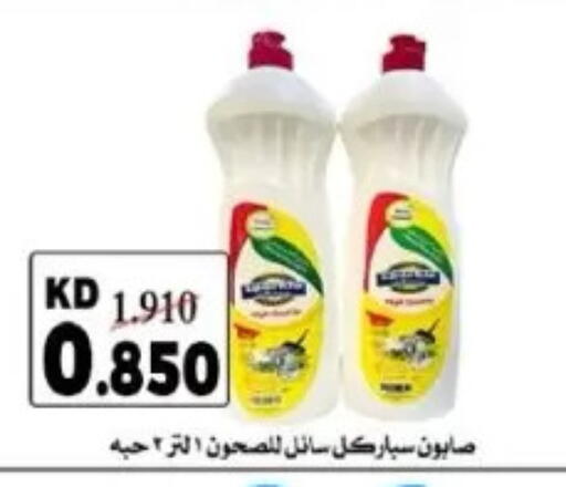 available at Dahiyat Abdullah Al Salem and Mansourieh Cooperative Society in Kuwait - Jahra Governorate