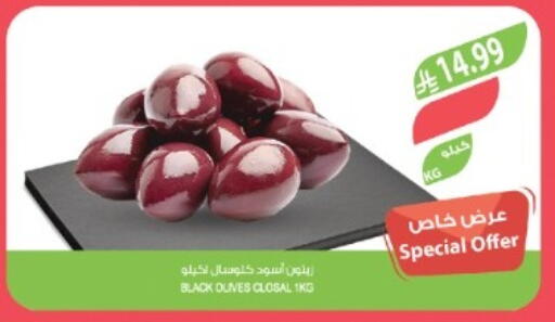available at المزرعة in مملكة العربية السعودية, السعودية, سعودية - تبوك