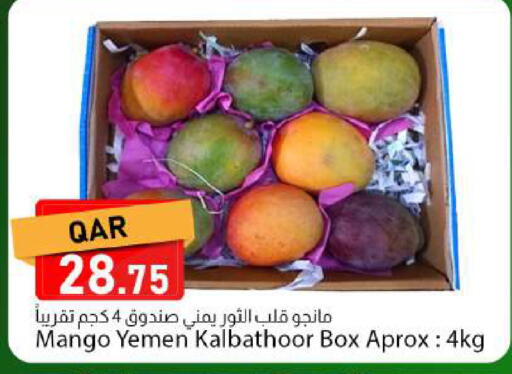 Mango from Yemen available at Dana Market in Qatar - Al Rayyan