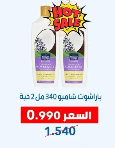 Rosemary available at Dahiyat Abdullah Al Salem and Mansourieh Cooperative Society in Kuwait - Jahra Governorate