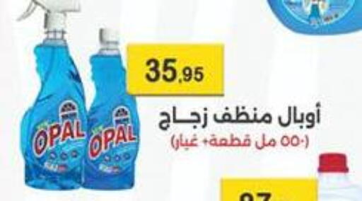 available at Abu Saleh Dairy Market in Egypt - Cairo