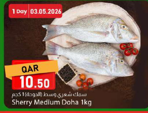 available at دانا ماركت in قطر - الضعاين