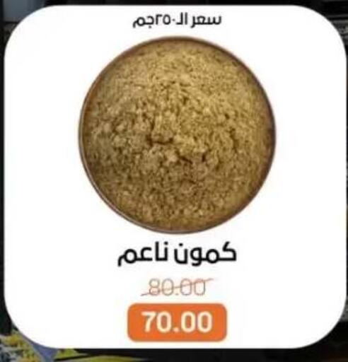 available at بيت الجملة in Egypt - القاهرة