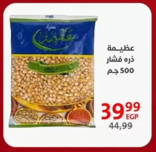 available at Arab DownTown in Egypt - Cairo