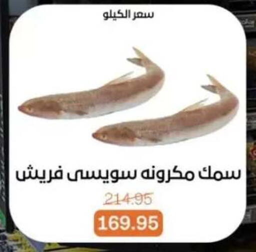 available at بيت الجملة in Egypt - القاهرة