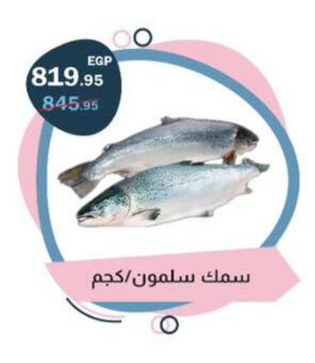 available at Flamingo Hyper Market in Egypt - Cairo