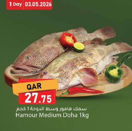 available at دانا ماركت in قطر - الضعاين