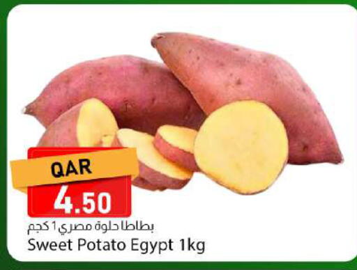 Sweet Potato from Egypt available at دانا ماركت in قطر - الضعاين