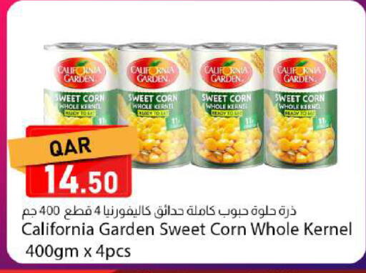 available at دانا ماركت in قطر - الضعاين