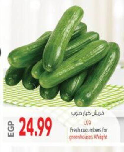 available at Al Hussieny Super Market in Egypt - Cairo