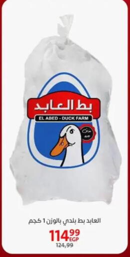 available at Arab DownTown in Egypt - Cairo