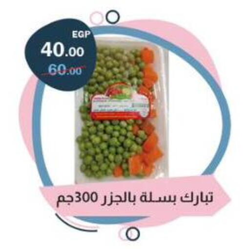 available at Flamingo Hyper Market in Egypt - Cairo