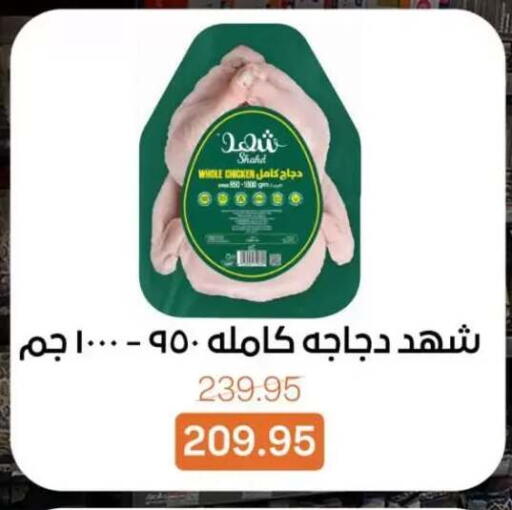 available at بيت الجملة in Egypt - القاهرة