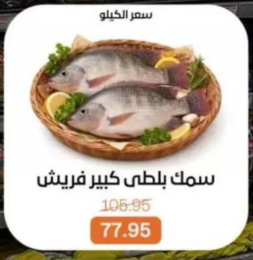 available at بيت الجملة in Egypt - القاهرة
