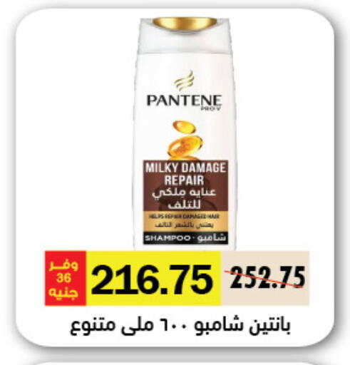 available at Royal House in Egypt - Cairo