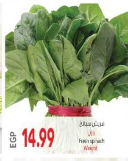Spinach available at Al Hussieny Super Market in Egypt - Cairo