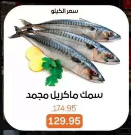 available at بيت الجملة in Egypt - القاهرة
