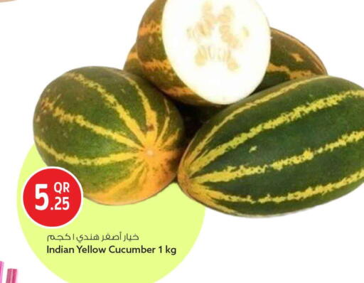 Cucumber from India available at Safari Hypermarket in Qatar - Umm Salal