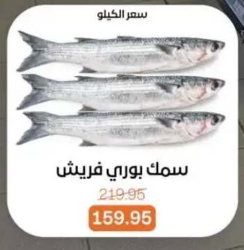 available at بيت الجملة in Egypt - القاهرة