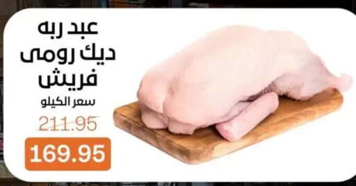 available at بيت الجملة in Egypt - القاهرة