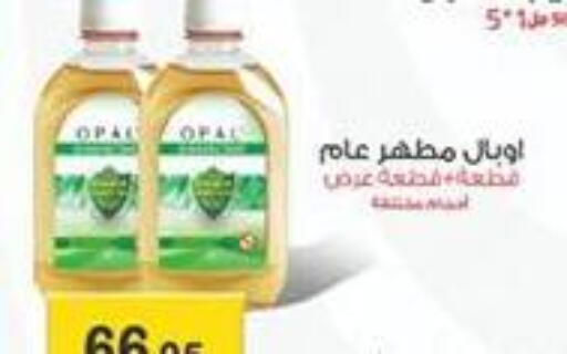 available at Abu Saleh Dairy Market in Egypt - Cairo