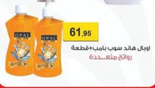 available at Abu Saleh Dairy Market in Egypt - Cairo