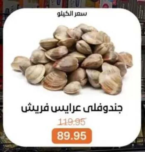 available at بيت الجملة in Egypt - القاهرة