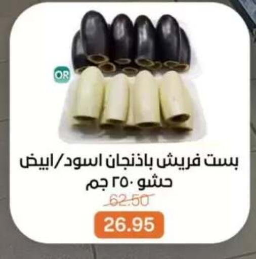 available at بيت الجملة in Egypt - القاهرة
