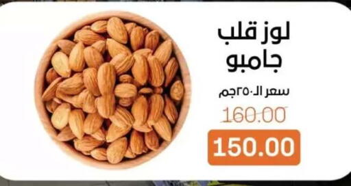 available at بيت الجملة in Egypt - القاهرة