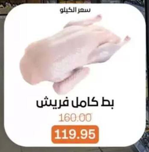 available at Beit El Gomla in Egypt - Cairo