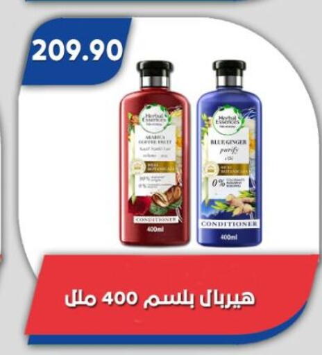 Ginger available at Bassem Market in Egypt - Cairo