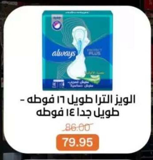 available at بيت الجملة in Egypt - القاهرة