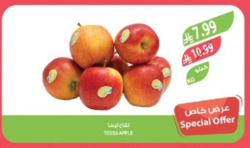 Apple available at المزرعة in مملكة العربية السعودية, السعودية, سعودية - تبوك