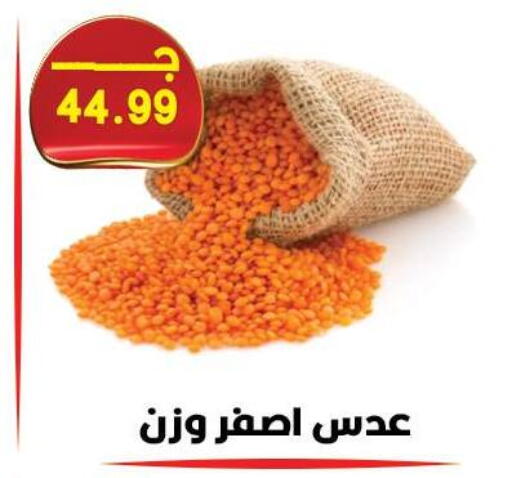 available at هايبر القدس in Egypt - القاهرة