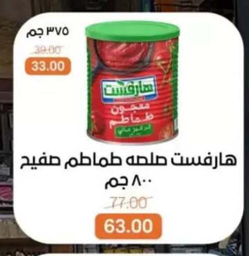 available at بيت الجملة in Egypt - القاهرة