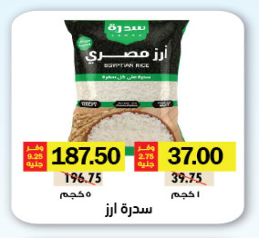 available at Royal House in Egypt - Cairo