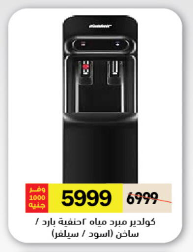 available at Royal House in Egypt - Cairo