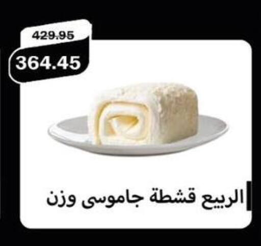 available at Flamingo Hyper Market in Egypt - Cairo