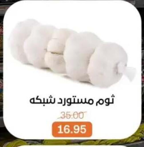 available at بيت الجملة in Egypt - القاهرة