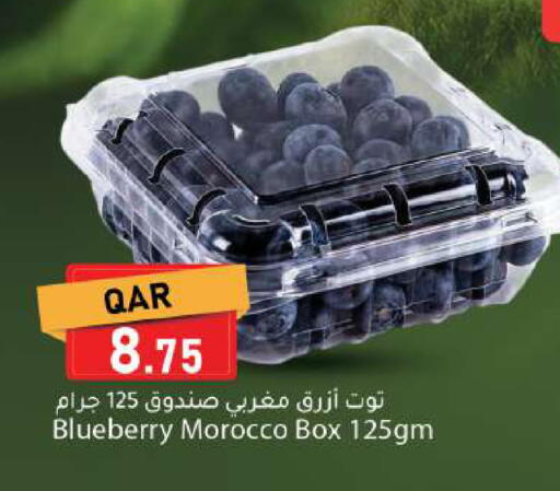 Blueberry BlueBerry from Morocco available at دانا ماركت in قطر - الضعاين