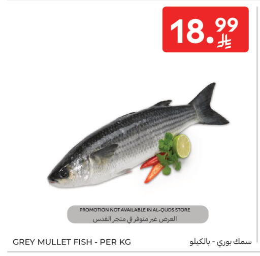 available at كارفور in مملكة العربية السعودية, السعودية, سعودية - جدة