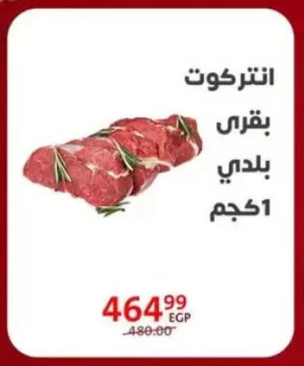 available at Arab DownTown in Egypt - Cairo