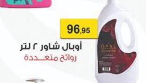 available at Abu Saleh Dairy Market in Egypt - Cairo