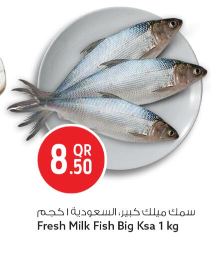 available at سفاري هايبر ماركت in قطر - الشحانية